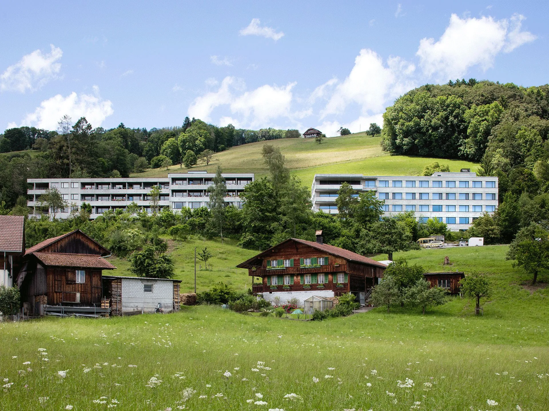 Alters- und Pflegeheim Wattenwil, zwei helle Gebäuderiegel am Hang über einer Blumenwiese mit Bauernhaus